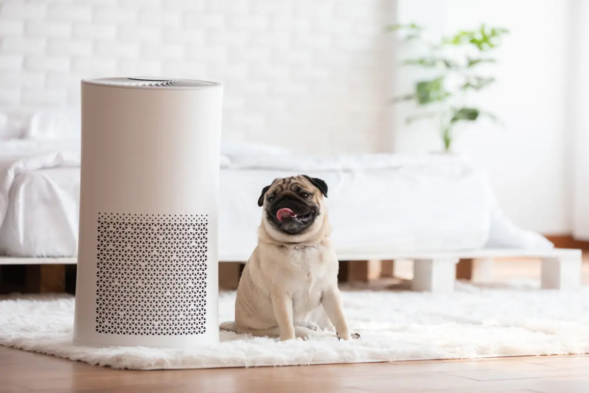 Air purifier in a bright bedroom with a pug sitting beside it